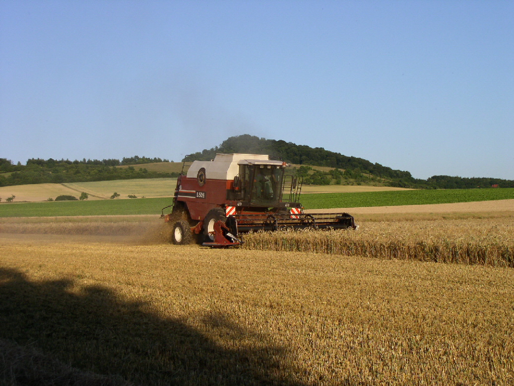 MAEHDRESCHER_02