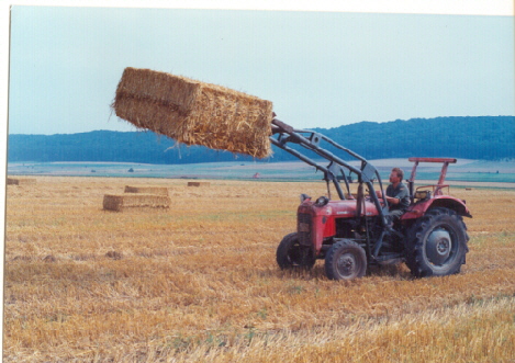 Stroeinf 2 94 klein