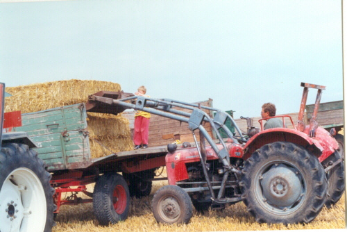Stroheinf 3 klein94