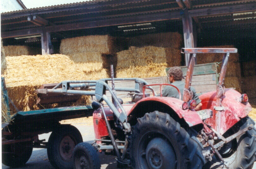 Stroheinf 4 94 klein